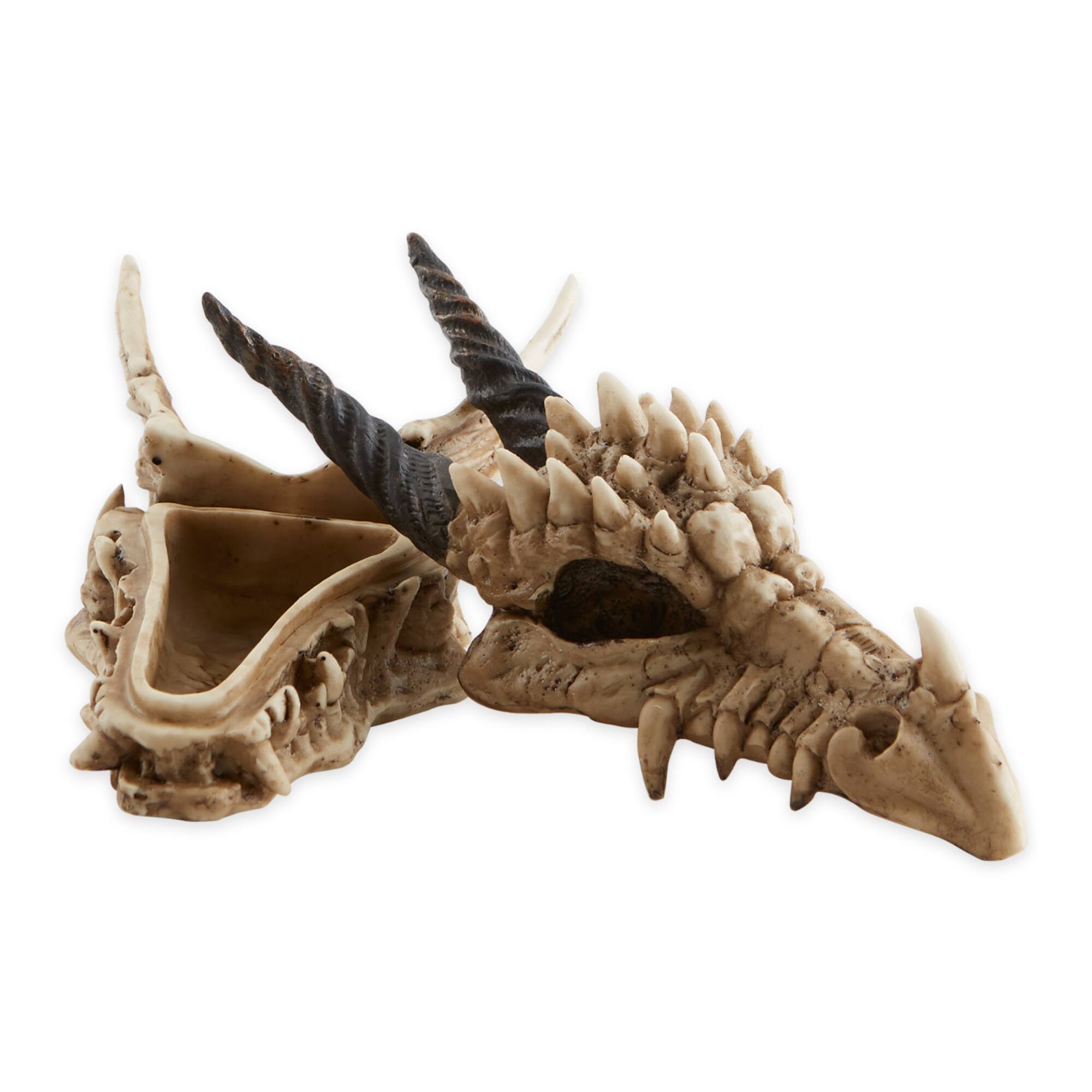 12" Snarling Dragon Skull Treasure Trove Box